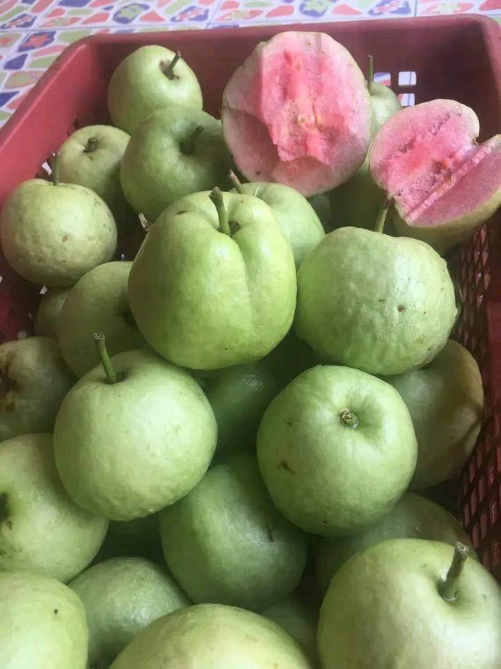 ผลผลิต