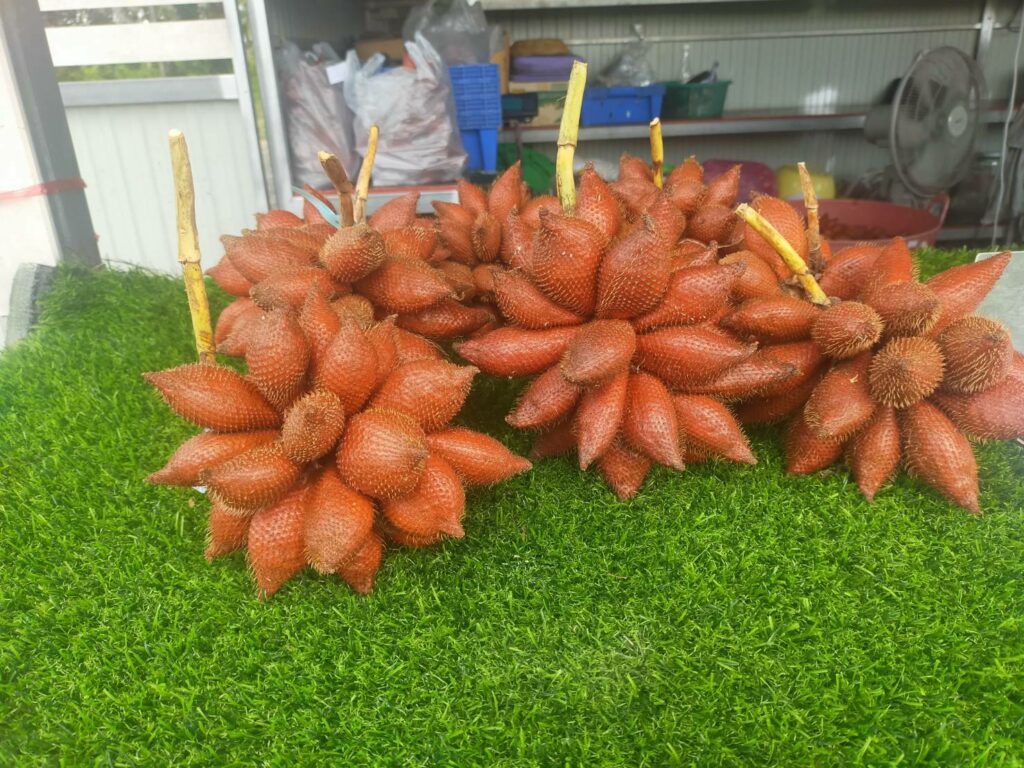 สละสุมาลี